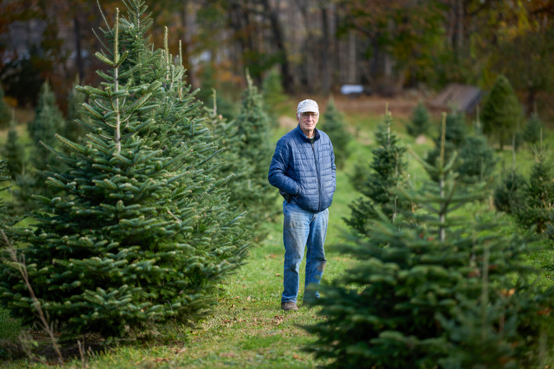 Maple Crest Farm in West Newbury Grows Christmas Magic One Tree at a