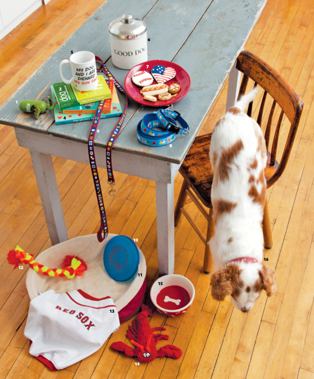 dog toys you can stuff with treats